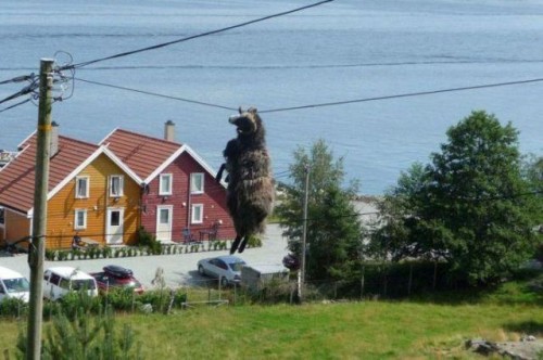 hornoxe.com_picdump187_31