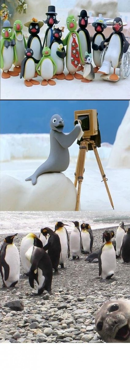 hornoxe.com_picdump187_33