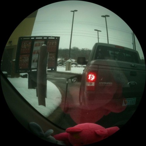 hornoxe.com_picdump187_56