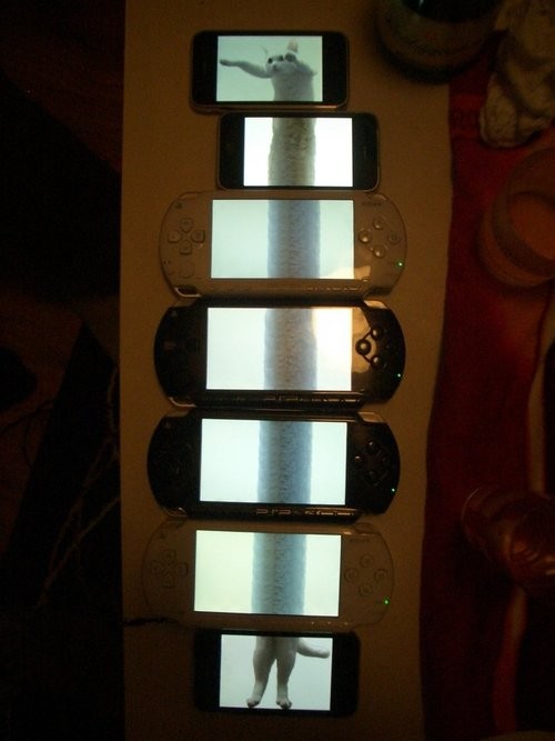 hornoxe.com_picdump188_012