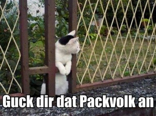 hornoxe.com_picdump188_017