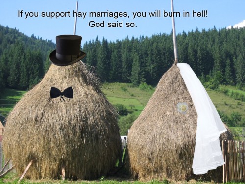 hornoxe.com_picdump188_034