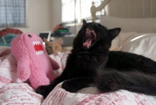 hornoxe.com_picdump188_053