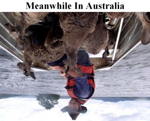 hornoxe.com_picdump188_067