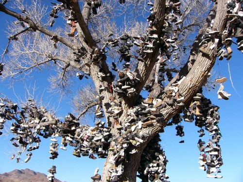 hornoxe.com_picdump188_090