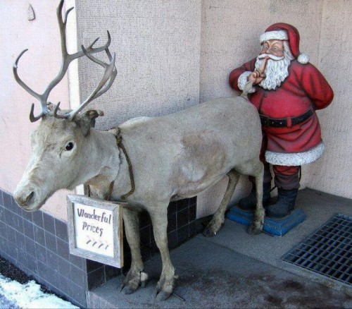 hornoxe.com_picdump188_100