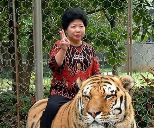 hornoxe.com_picdump188_108