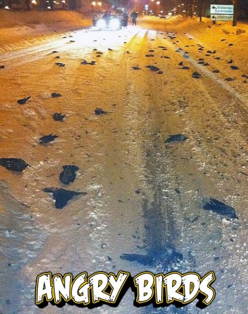 hornoxe.com_picdump188_128