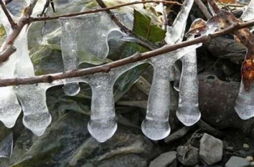 hornoxe.com_picdump189_031