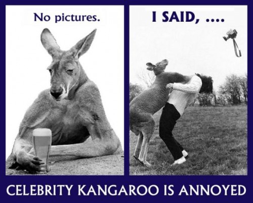 hornoxe.com_picdump189_032