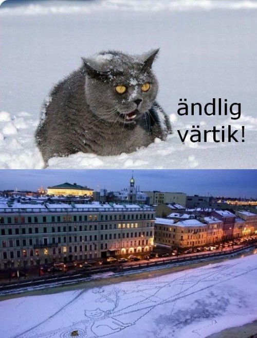 hornoxe.com_picdump189_038