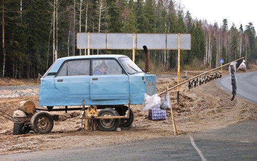 hornoxe.com_picdump190_05