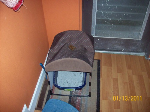 hornoxe.com_picdump190_11