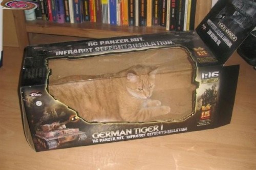 hornoxe.com_picdump191_31