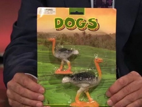 hornoxe.com_picdump191_51