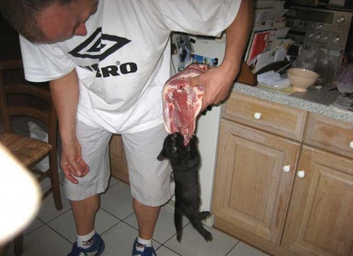 hornoxe.com_picdump191_57