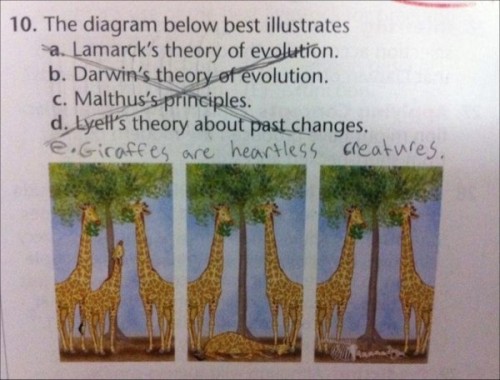 hornoxe.com_picdump191_59