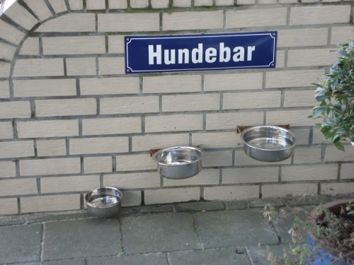 hornoxe.com_picdump191_60