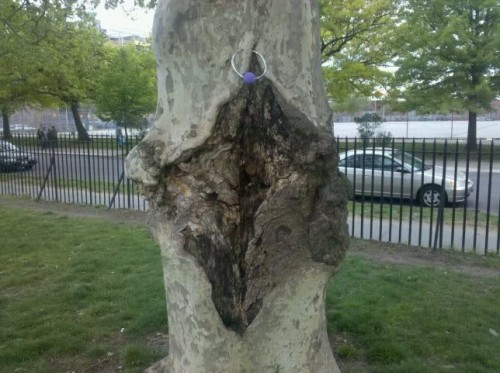 hornoxe.com_picdump192_42