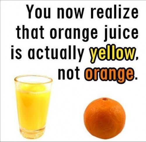 hornoxe.com_picdump192_46