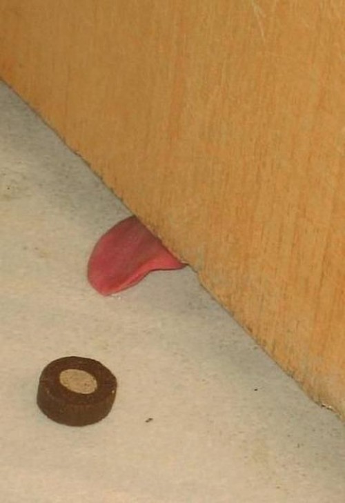 hornoxe.com_picdump192_67