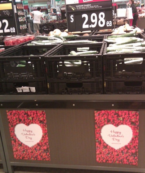 hornoxe.com_picdump193_028