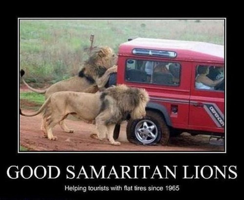 hornoxe.com_picdump193_079