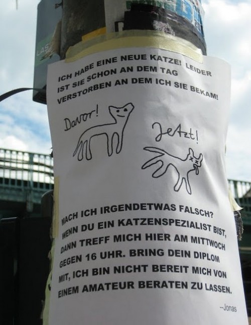 hornoxe.com_picdump193_100