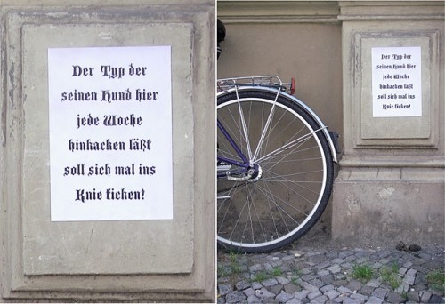 hornoxe.com_picdump193_105