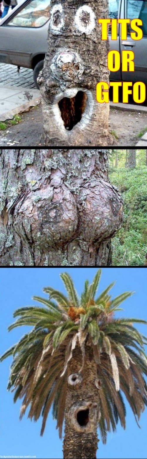 hornoxe.com_picdump193_110