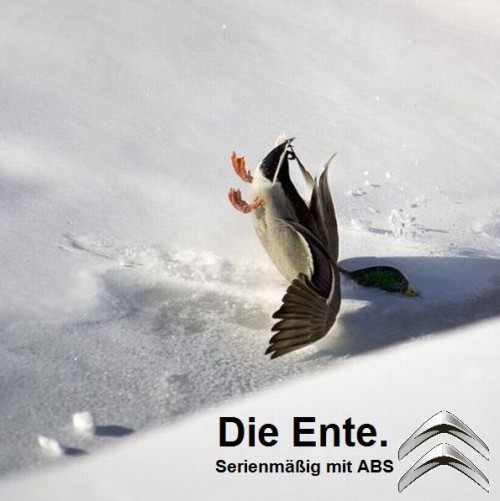 hornoxe.com_picdump194_040