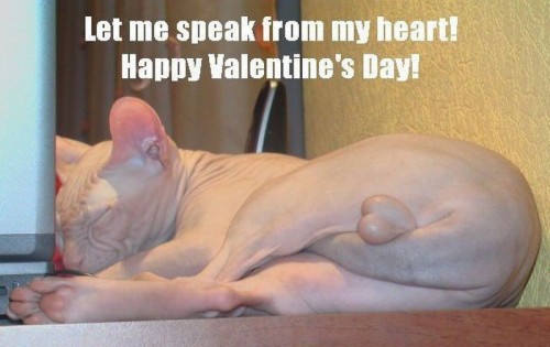 hornoxe.com_picdump194_076