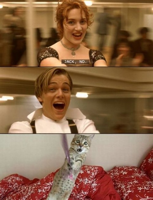 hornoxe.com_picdump194_077