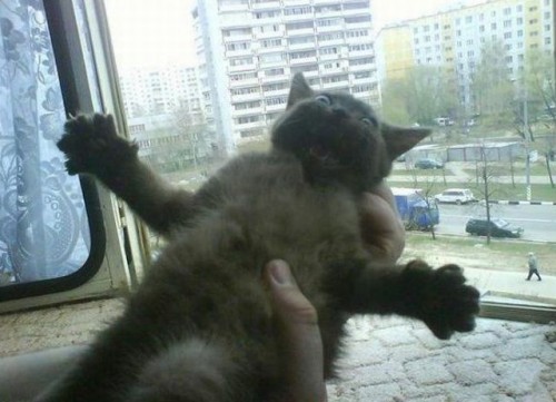 hornoxe.com_picdump194_092