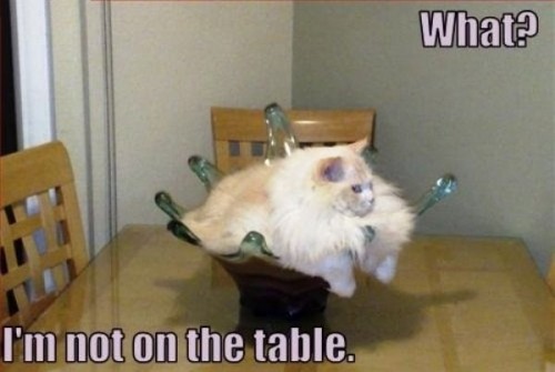 hornoxe.com_picdump195_008