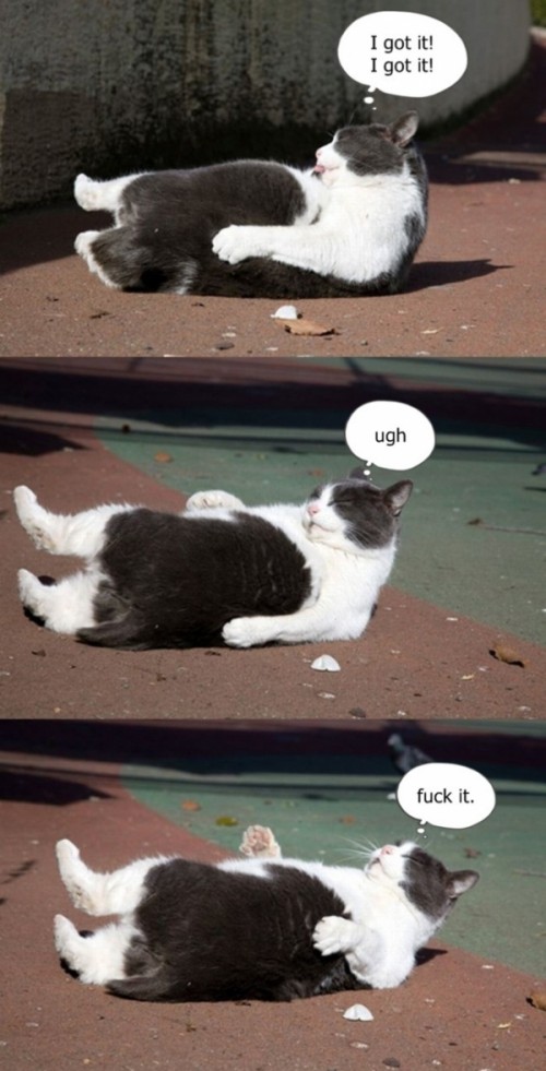 hornoxe.com_picdump195_010