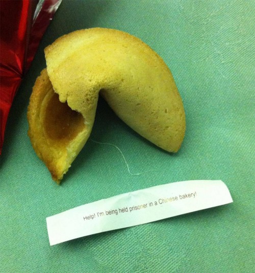 hornoxe.com_picdump195_029