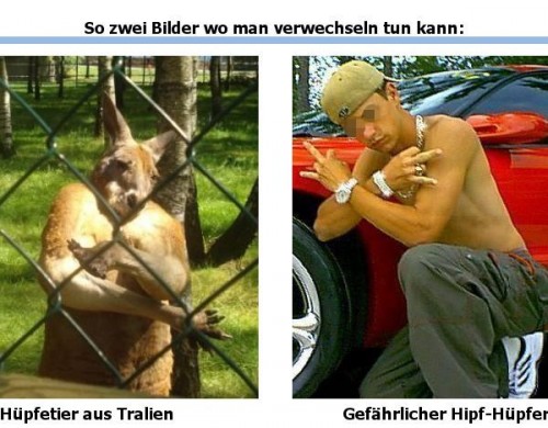 hornoxe.com_picdump195_046