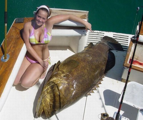 hornoxe.com_picdump195_066