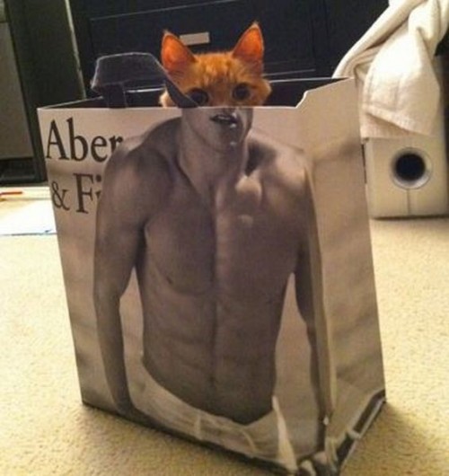 hornoxe.com_picdump195_082