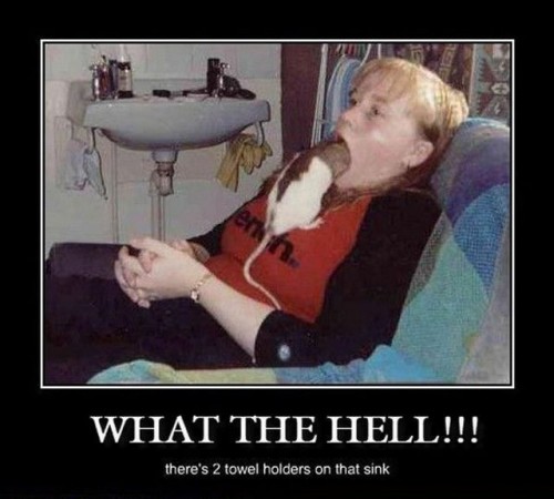 hornoxe.com_picdump196_53