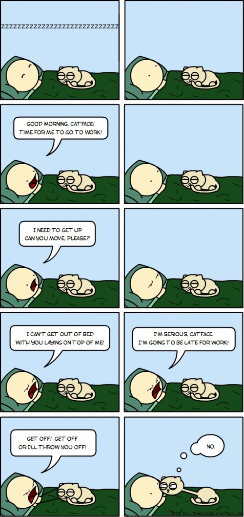 hornoxe.com_picdump196_84