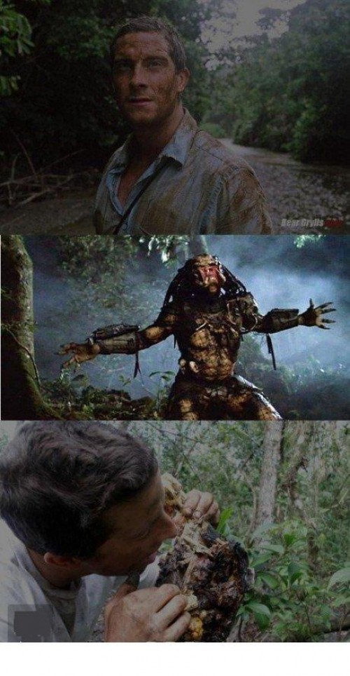 hornoxe.com_picdump197_37