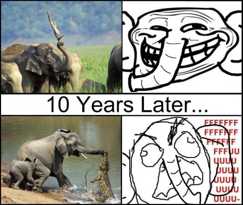 hornoxe.com_picdump197_39