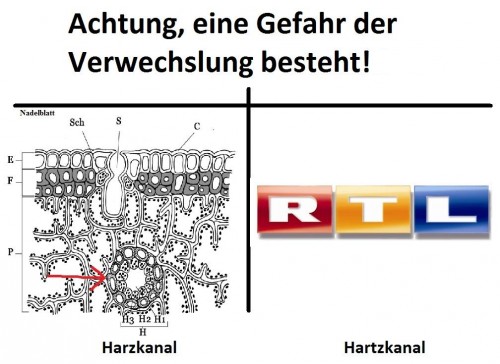 hornoxe.com_picdump197_42