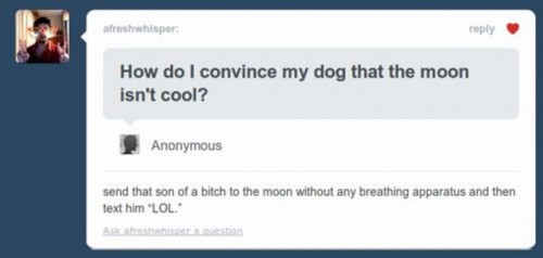 hornoxe.com_picdump197_59