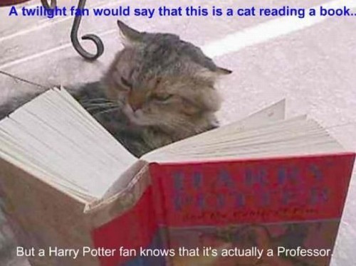 hornoxe.com_picdump197_69