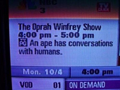 hornoxe.com_picdump198_25