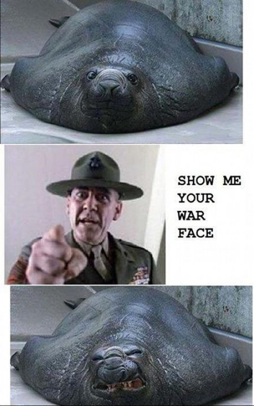 hornoxe.com_picdump198_39