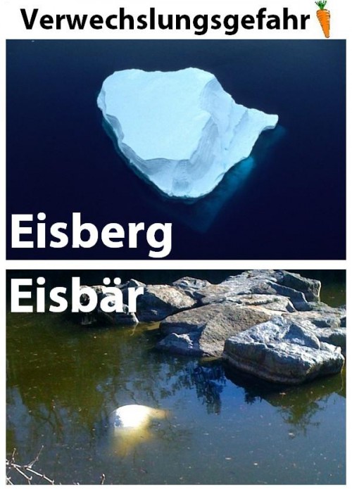 hornoxe.com_picdump199_029